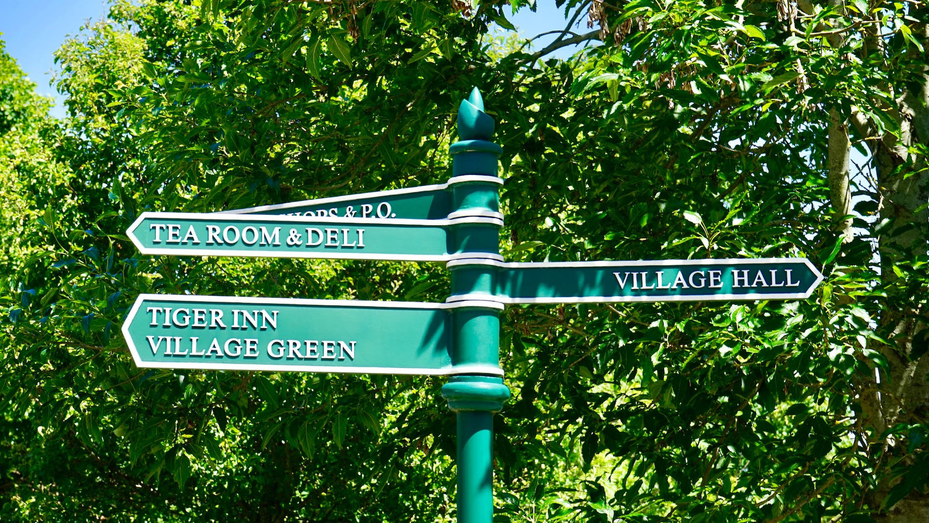 green road sign near tree